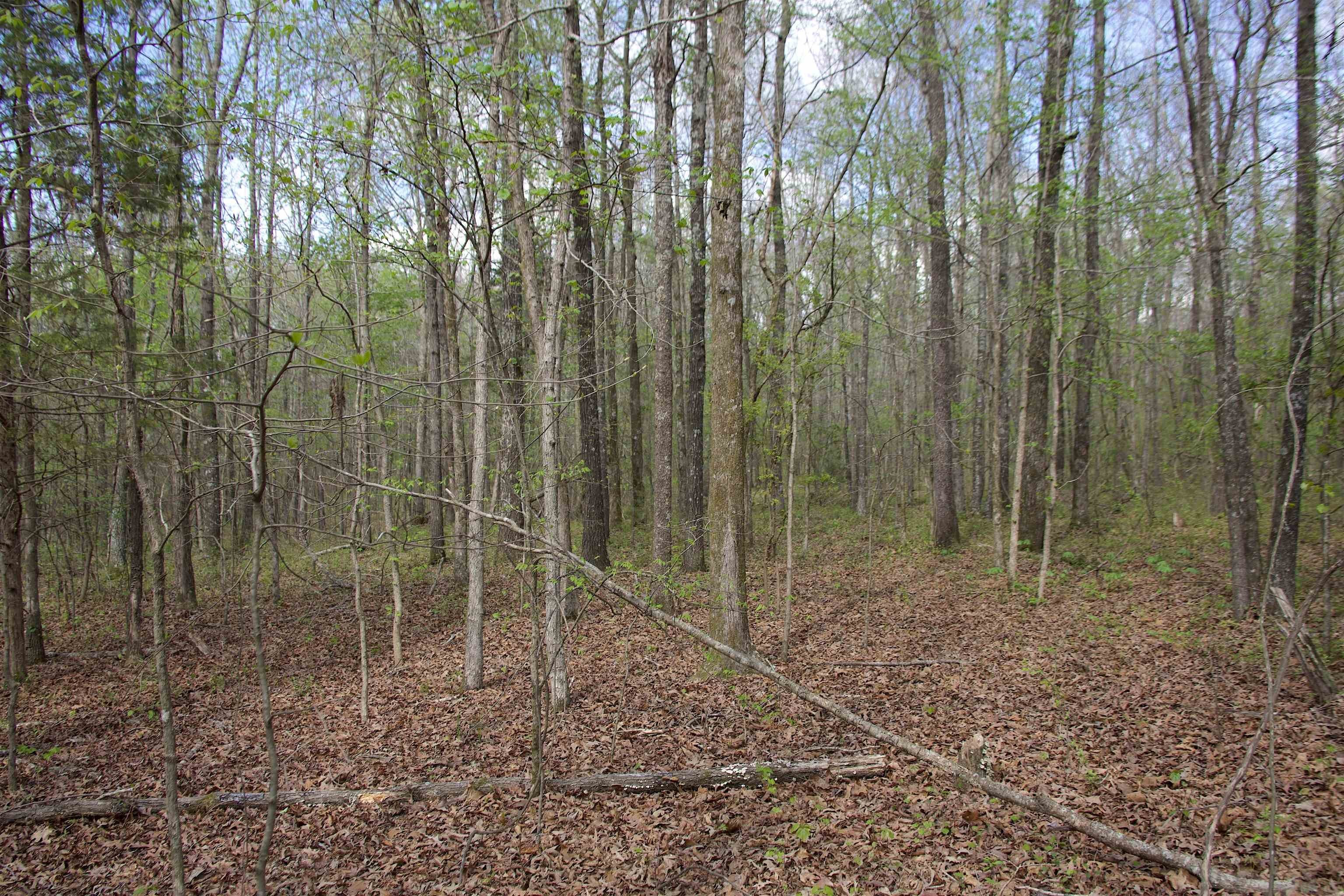 Other - 780 BREEDLOVE, Michigan City, MS