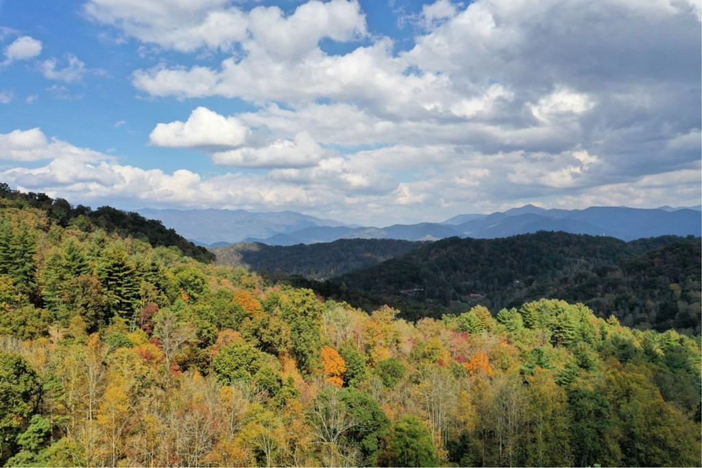 Other - VL 64 Mountain Forest Estates, Sylva, NC