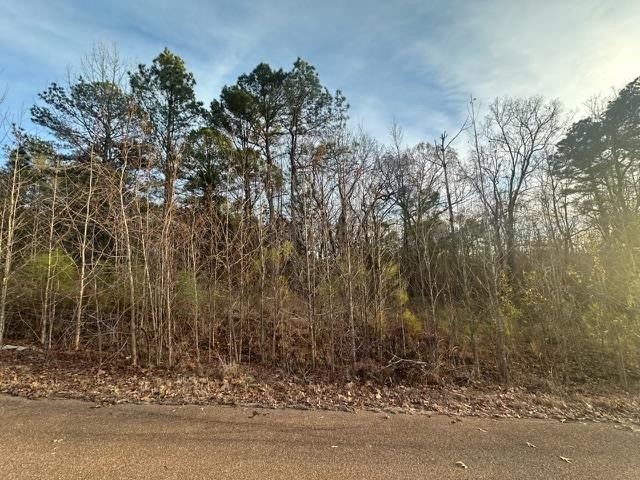 Other - 706 Paddock Cove, Oxford, MS