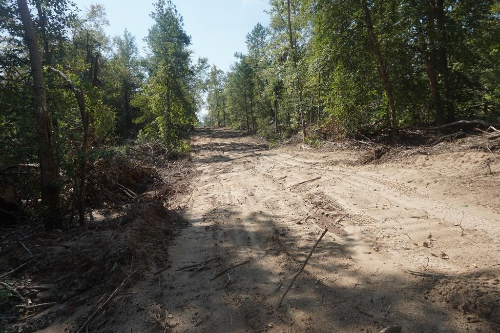 0 An County Rd 443  