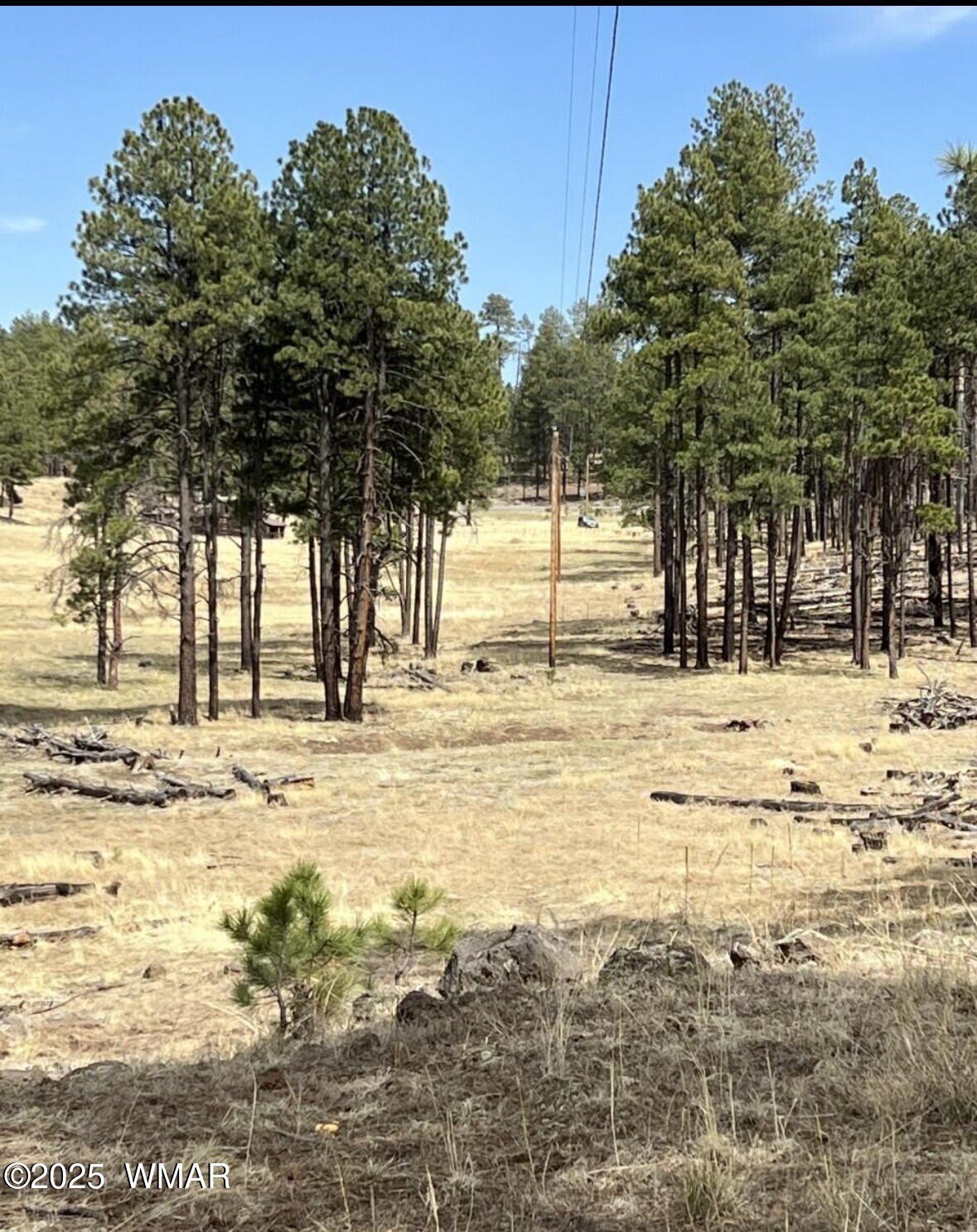 Forest Road 26 Unit E  