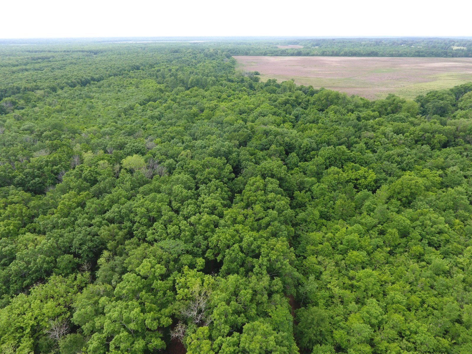 Other - Bonnette Road, Fifthward, LA