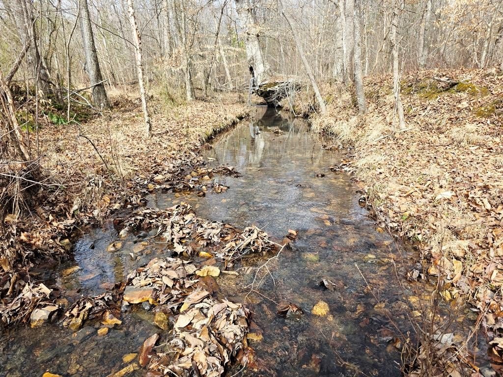 Single Family - Birdsong Rd, HOLLADAY, TN