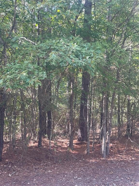 Plots and Land - 0 Ferry Lake Tract B, Oil City, LA