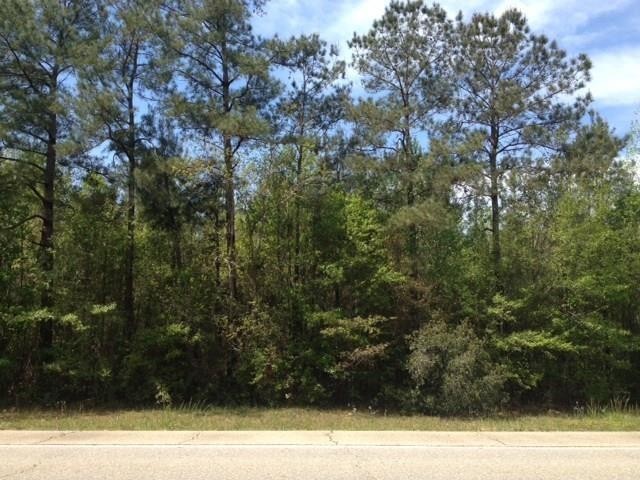 Other - 0 HWY 41 Highway, Pearl River, LA