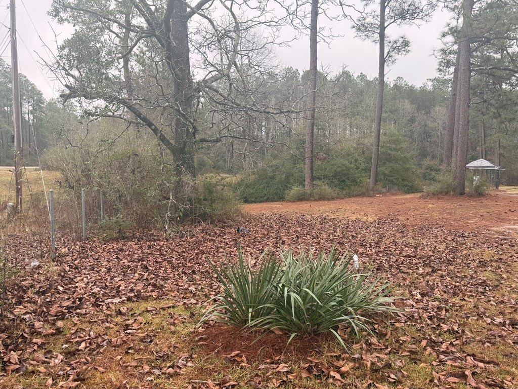 Single Family 3BR 2BA - 10452 Highway 11 North, Poplarville, MS