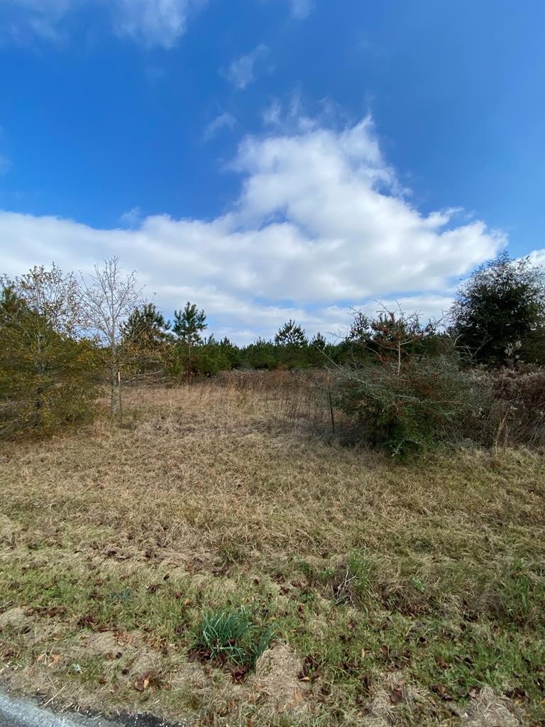 Other - 0 Buck Kirkland Rd, Poplarville, MS