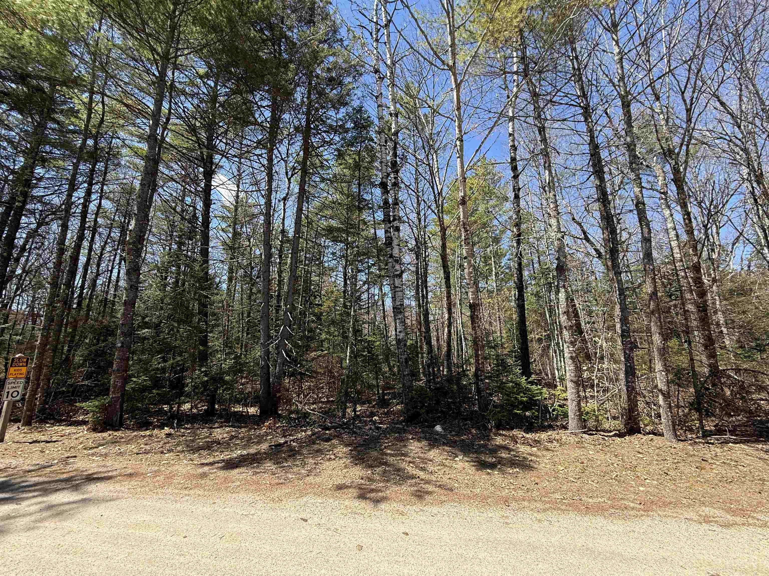Other - Lot 14 Partridgeberry Circle, Tuftonboro, NH