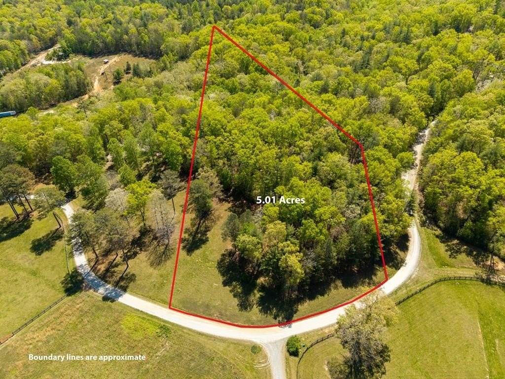 Other - Lot 3 Spring Camp Road, Ellijay, GA