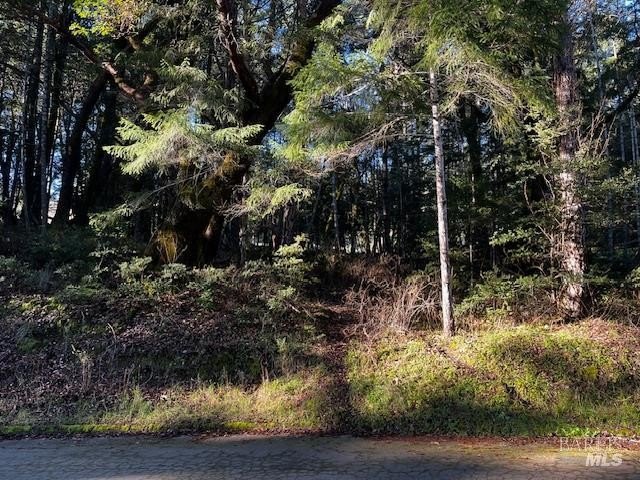 Other - 24419 Cypress Drive, Willits, CA