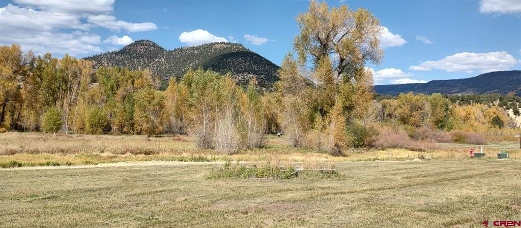 Single Family - 80 Iron Bridge Ct., South Fork, CO