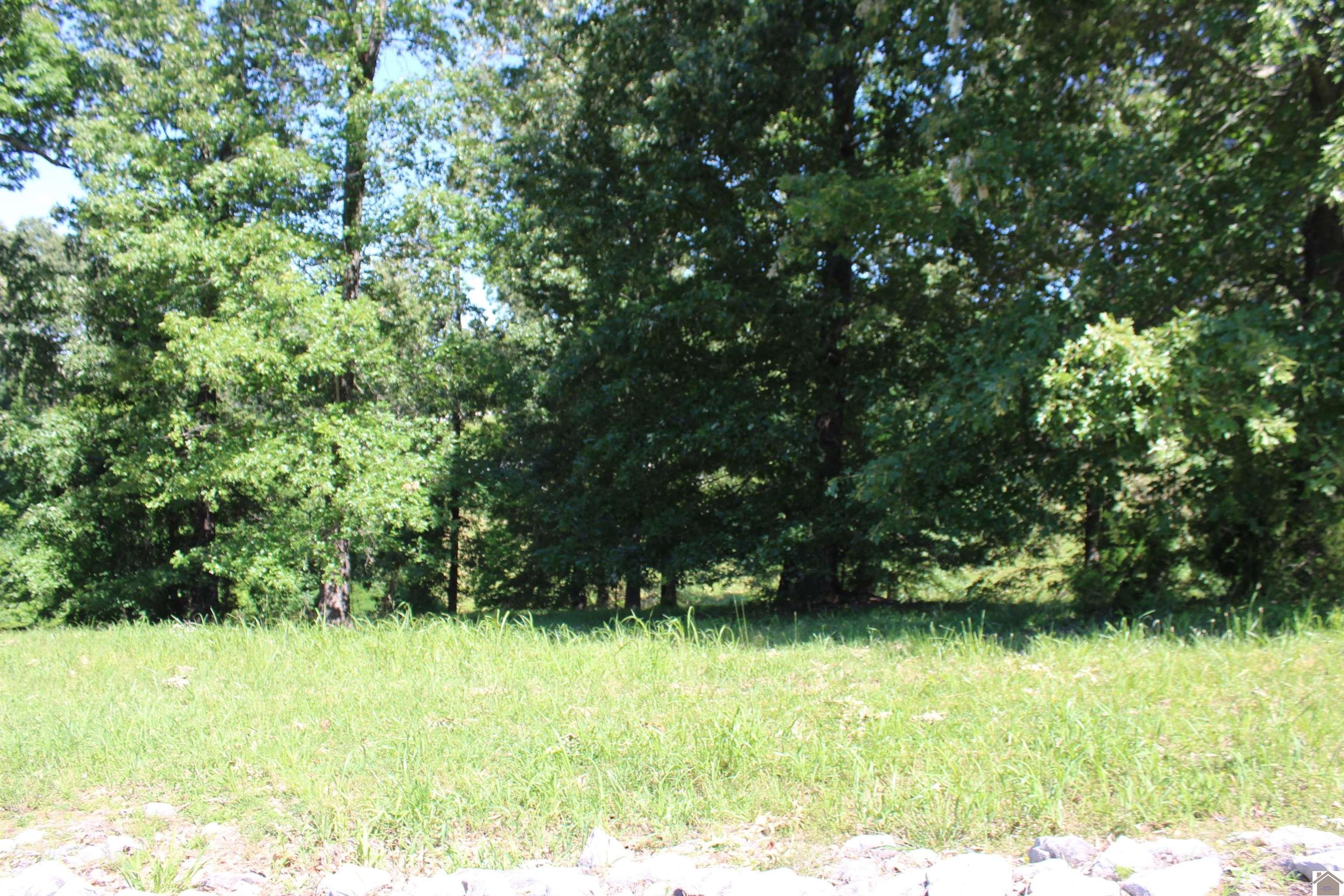 Other - Lot 37 Oak View Lane, Eddyville, KY
