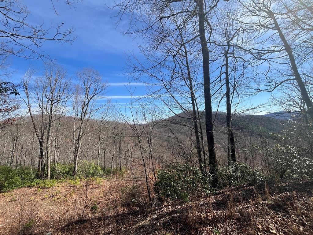 Other - Crisscross Lane, Lots 20, 21 lot: 20,21, Tuckasegee, NC