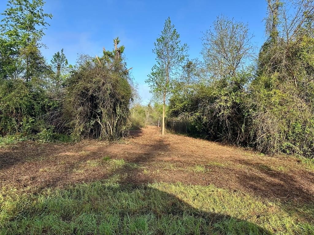 Single Family - 5.58 Acres County Road 61, Hartford, AL