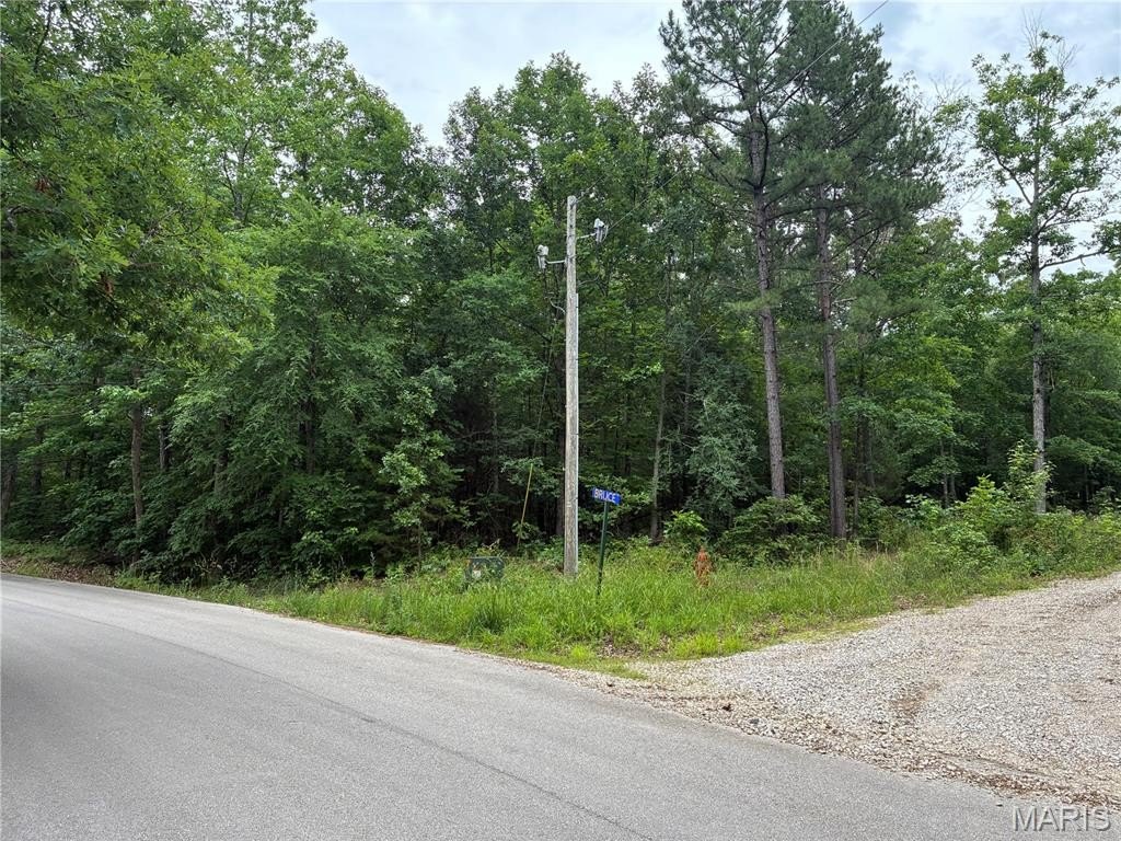 Other - 0 Bruce, Poplar Bluff, MO