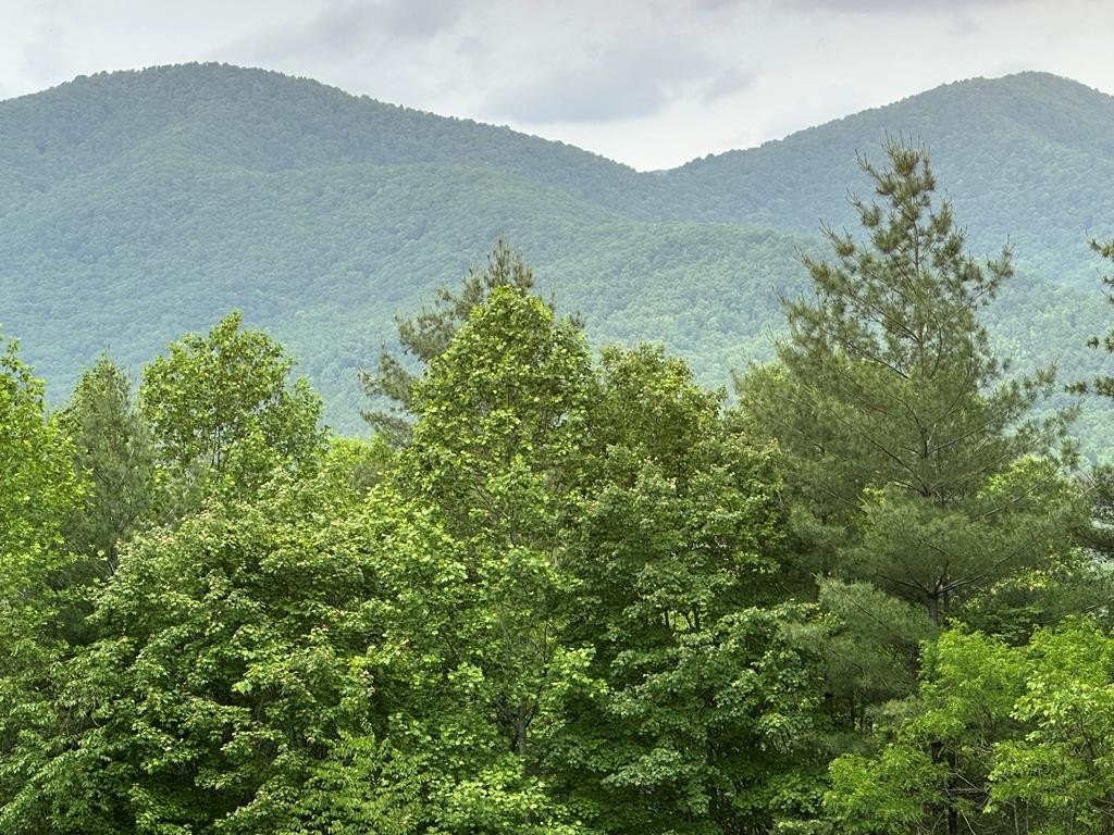 Other - 00 Top Horseshoe Ridge, MURPHY, NC