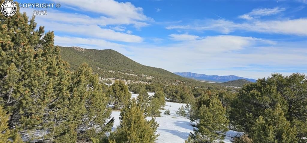 Other - 148 Mears Road, Cotopaxi, CO