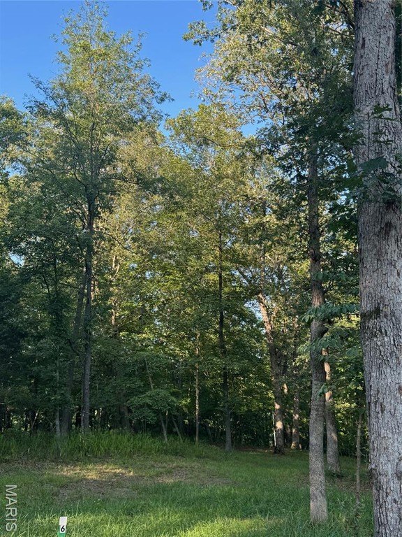 Other - 190 Steeple Point Dr. Lot #6, Defiance, MO
