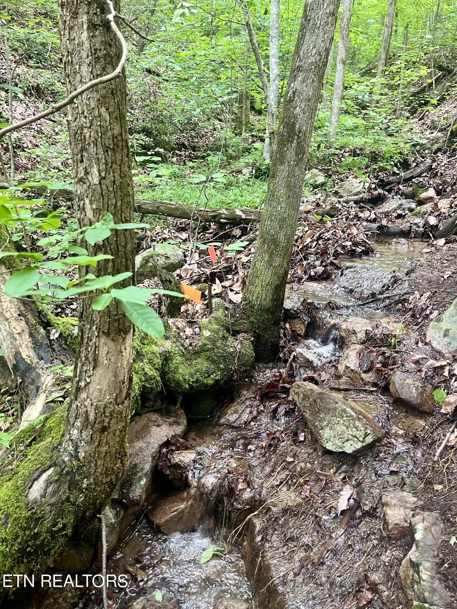 Other - Cherokee Circle, Tallassee, TN