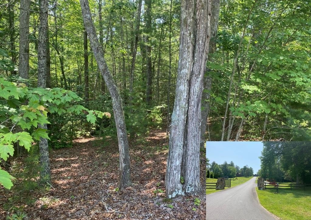 Other - Point Overlook Trail lot: 34, MURPHY, NC
