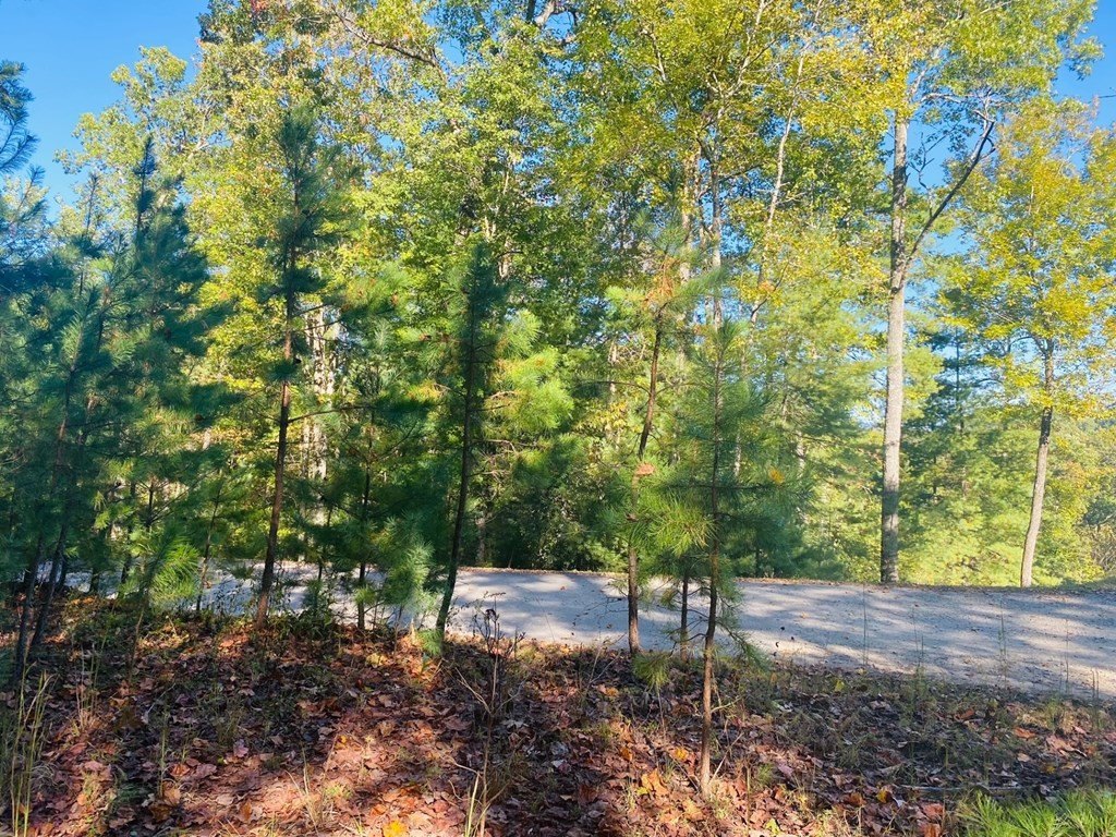 Other - Lot 34 Point Overlook Trail, MURPHY, NC