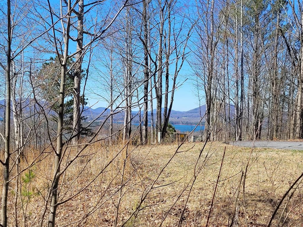 Other - Lot 25 Dan Knob Drive, Hayesville, NC