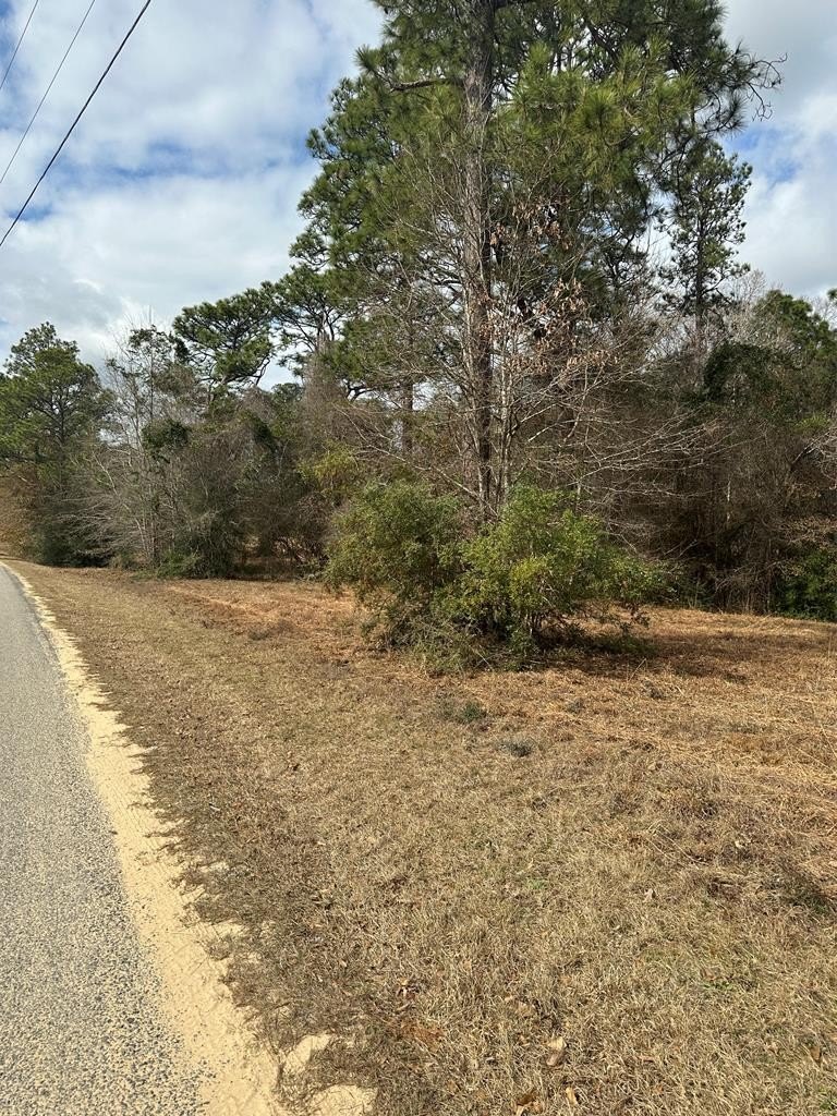 Single Family - 0 Bisbee Drive, Lumberton, MS
