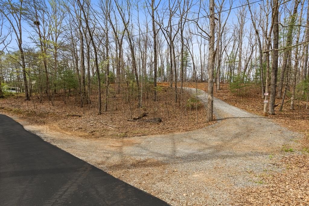 Other - 103 Hibiscus Lane, Blue Ridge, GA