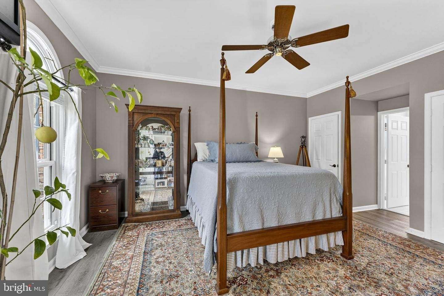 Single Family 5BR 5BA - 6165 MINT SPRINGS DR, WARRENTON, VA