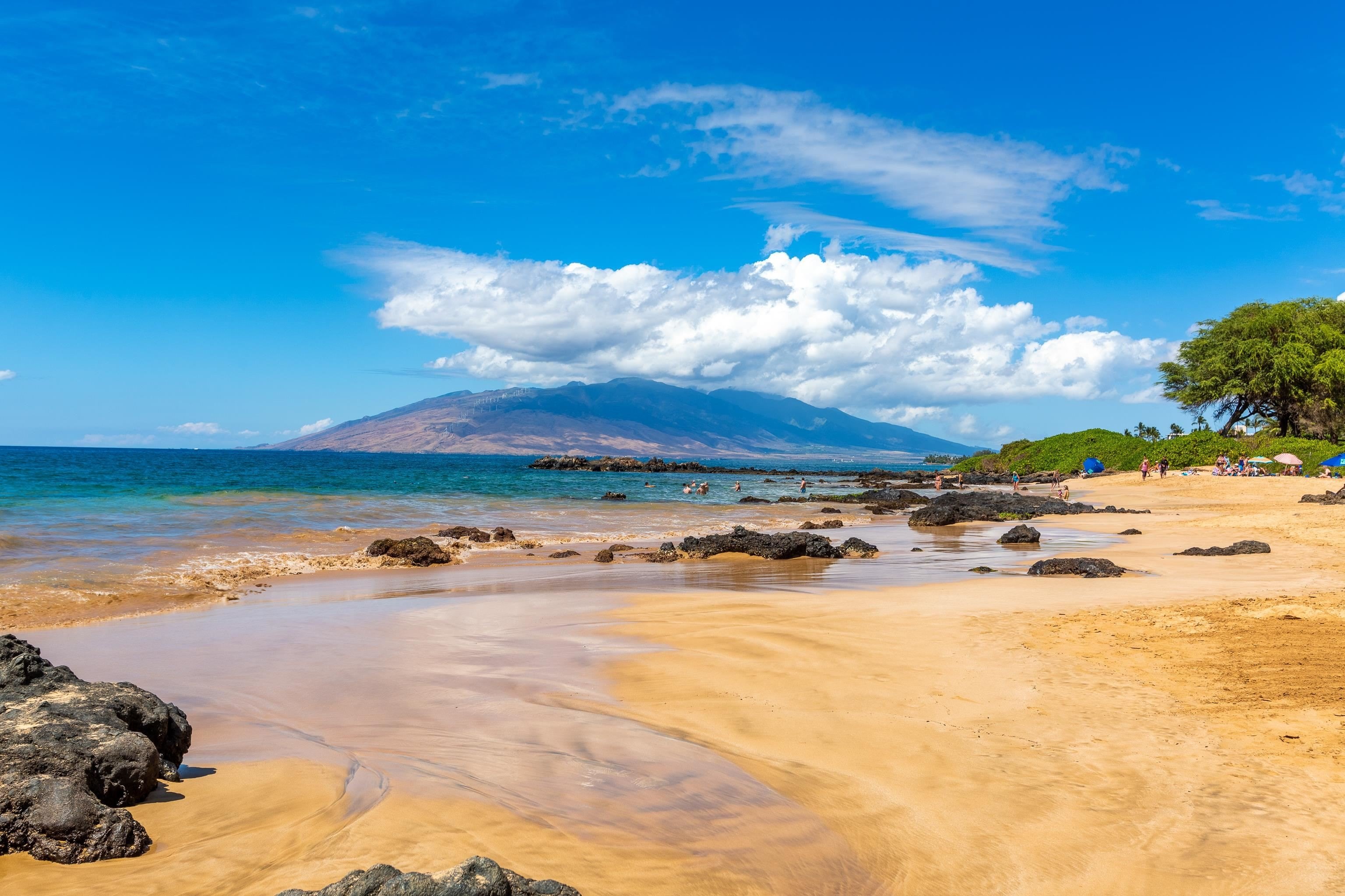 Condo 1BR 2BA - 2695 S Kihei Rd, Kihei, HI