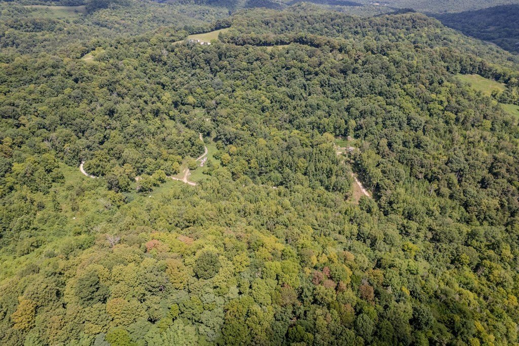 Other - Watts Hollow Rd, Buffalo Valley, TN