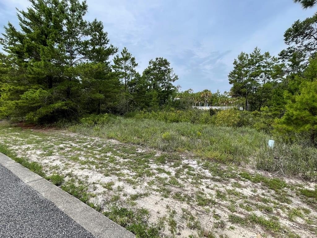 Other - 1589 Sandpiper Dr lot: 74, Carrabelle, FL