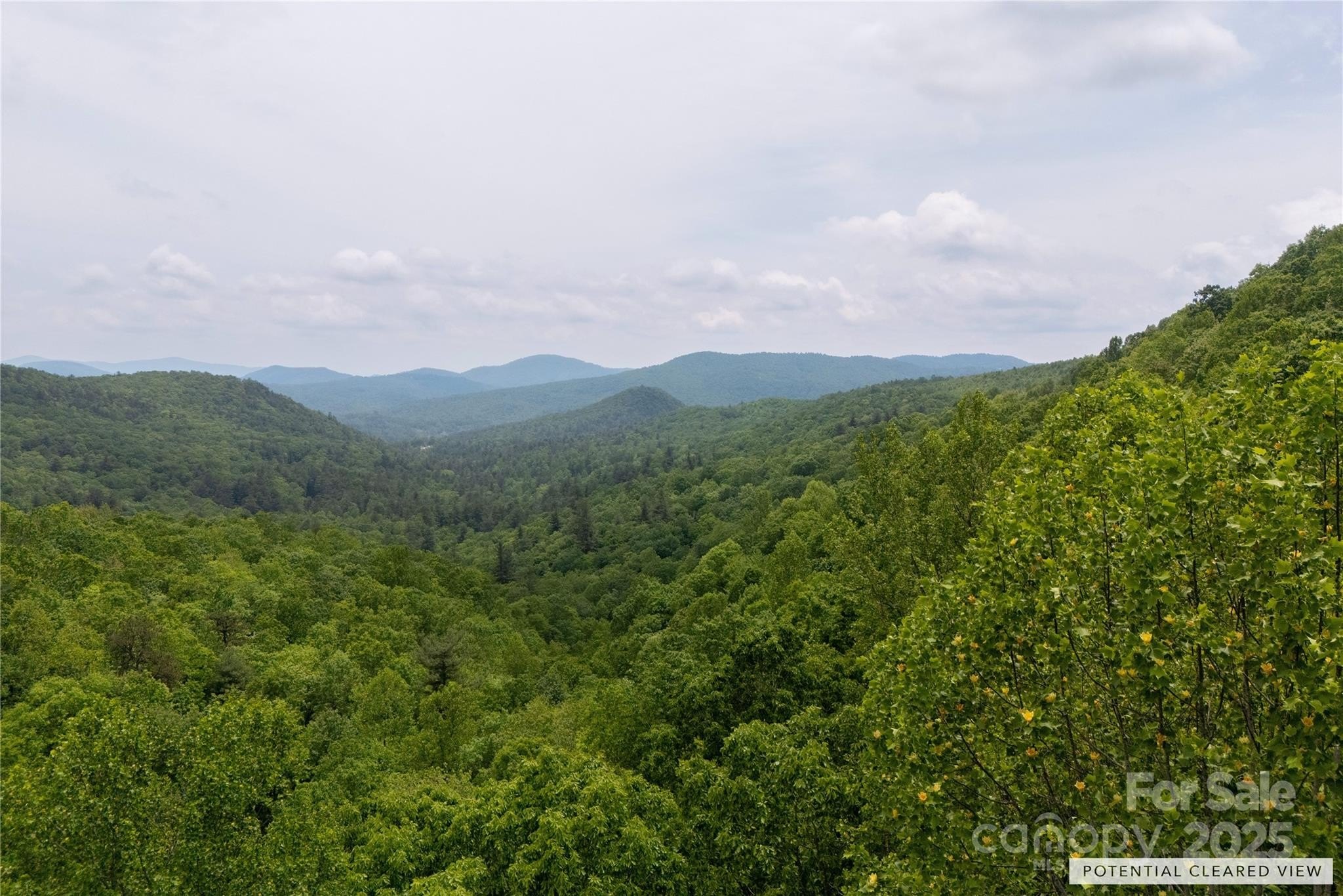 Other - Boone Top, Zirconia, NC