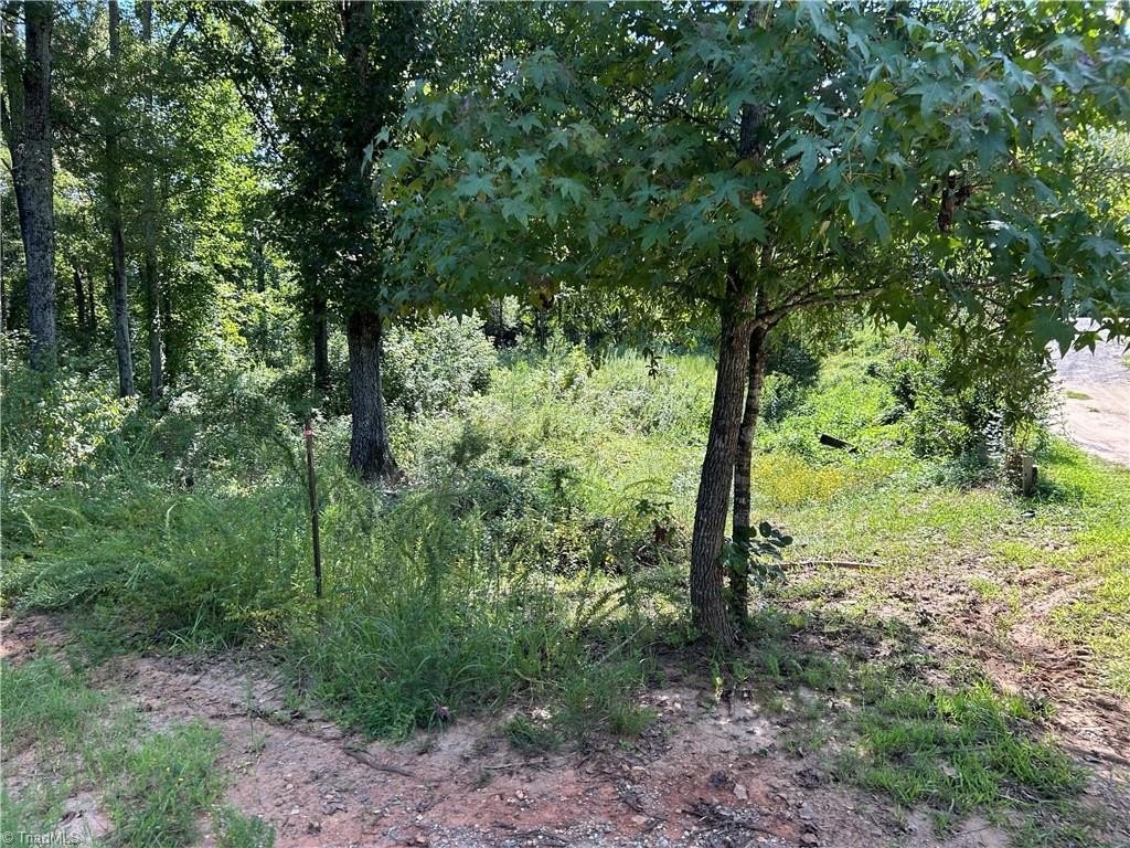 Single Family - 174 Eric Road, Mocksville, NC
