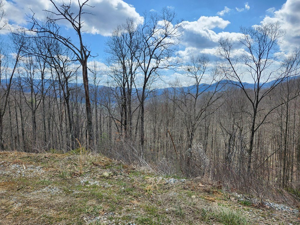 Other - Camp Branch Rd, Topton, NC