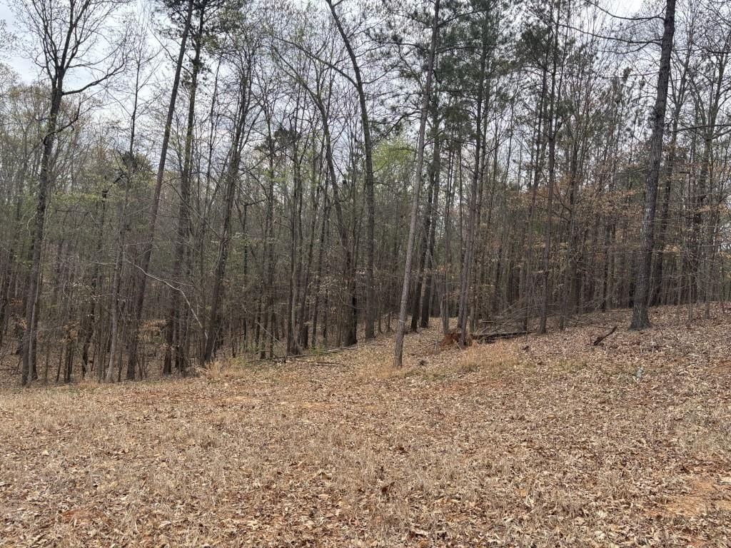 Other - 0 Summer Lake Road, Lithia Springs, GA