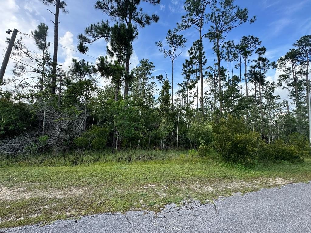 Other - Live Oak Dr lot: 16, Wewahitchka, FL