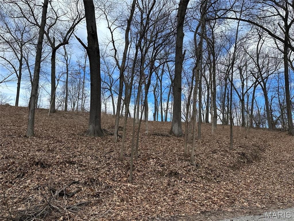 Other - 1300 Woodcliffe Drive, Alton, IL