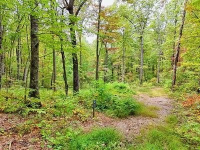 Other - Lot 30 Skyview Drive, HAYESVILLE, NC