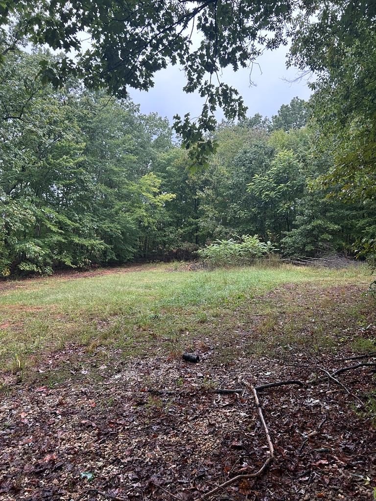 Other - Kozy Lane, Buckingham, VA