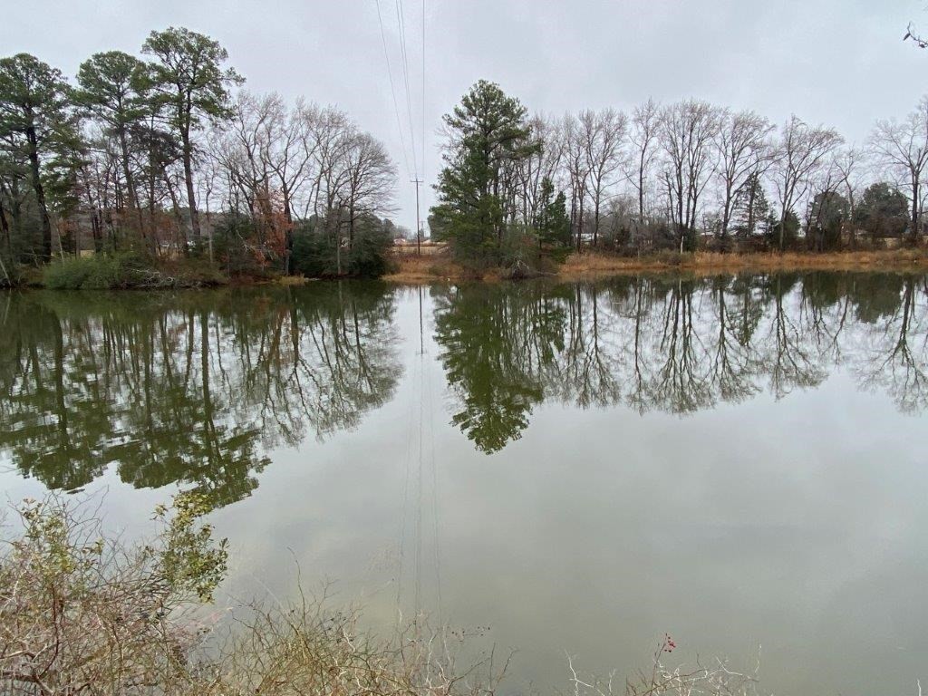 Single Family - 350 Apple Tree Road, Hague, VA
