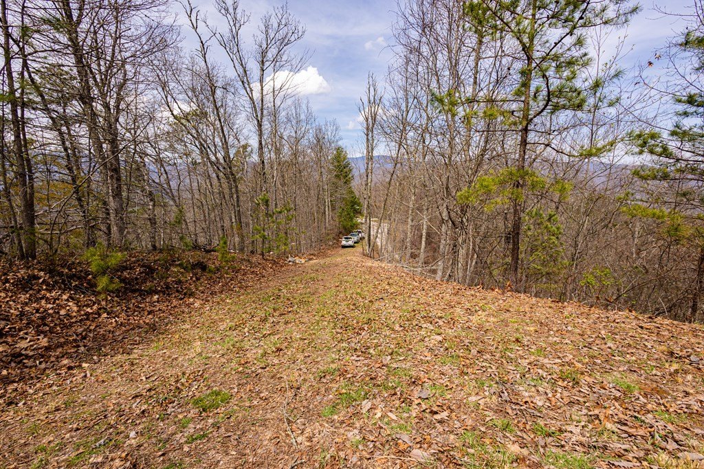 Other - Butternut Ridge lot: 7, Bryson City, NC