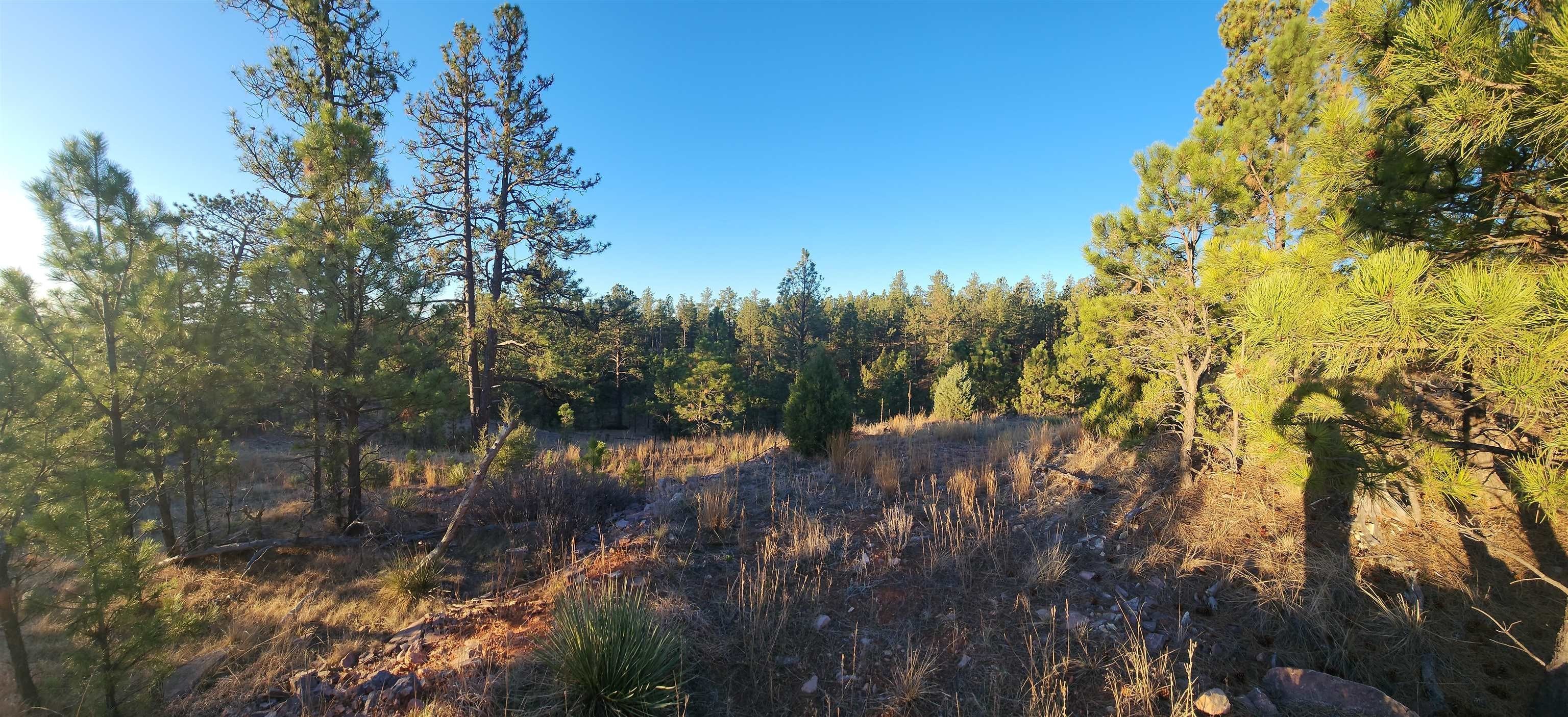 Other - 27317 Flagstone Road, Hot Springs, SD