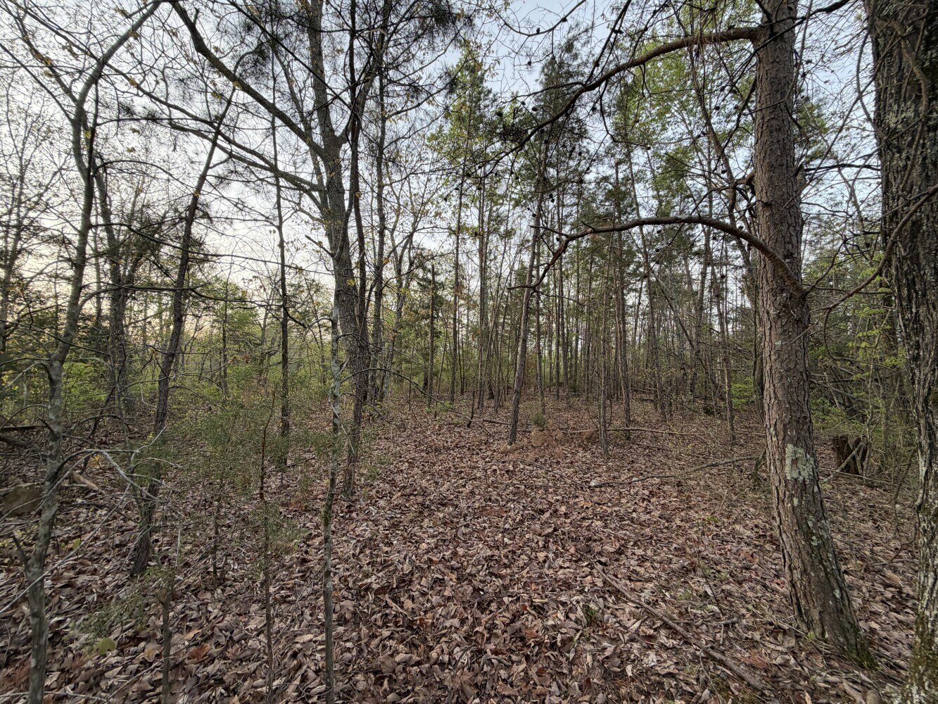 Other - Salem Road, Centerville, TN
