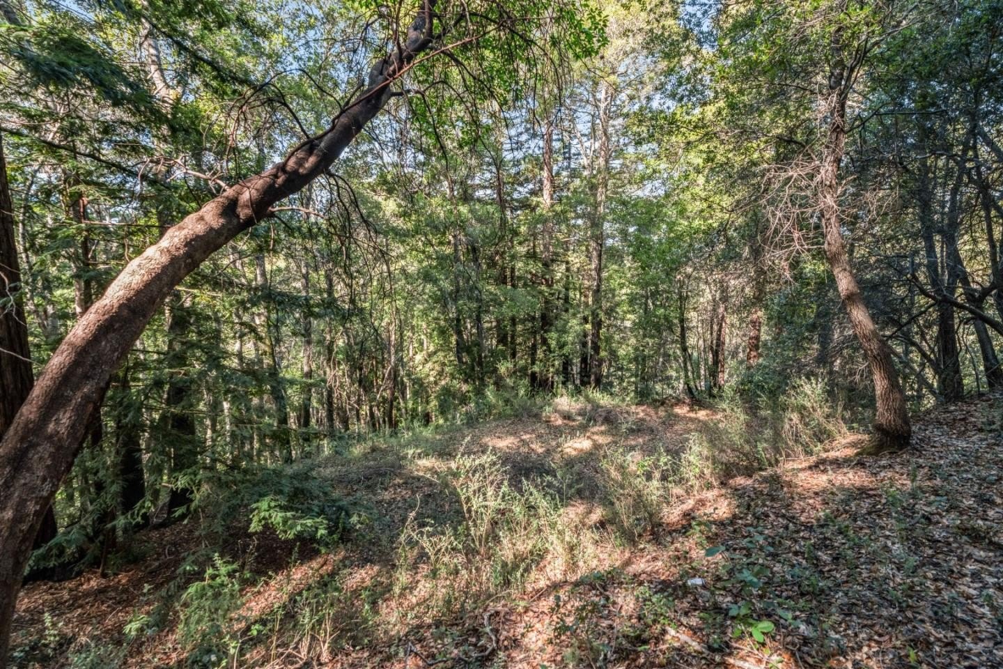 Other - Lot 11 Volver AVE, FELTON, CA