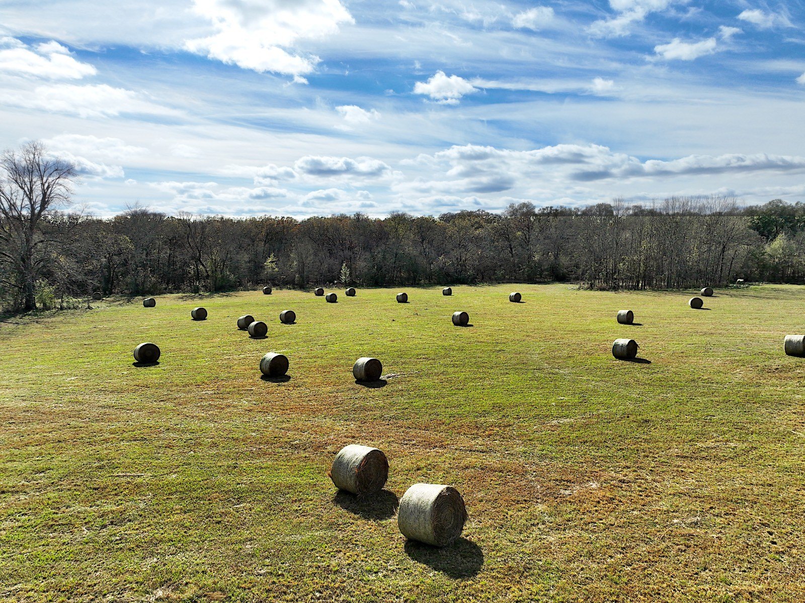 Other - Shady Land & Fossil Ridge Trail, Idabel, OK