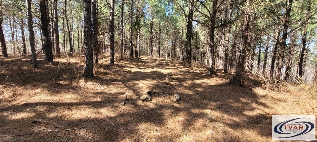Other - 0 Lot 47 Saddleback Dr, DOVER, TN