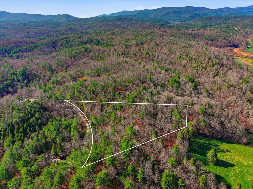 Other - Pickett Mill Lane lot: 24, Ellijay, GA