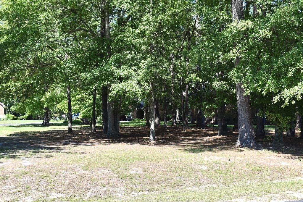Other - 507 Oak Hill Drive, Manning, SC
