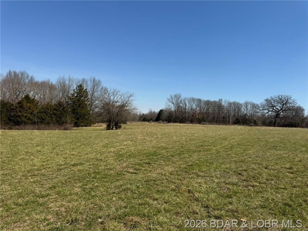Other - 87.3 Acres State FF Road, Edwards, MO